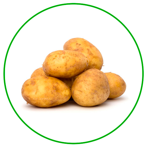Картофель, Шри-Ланка